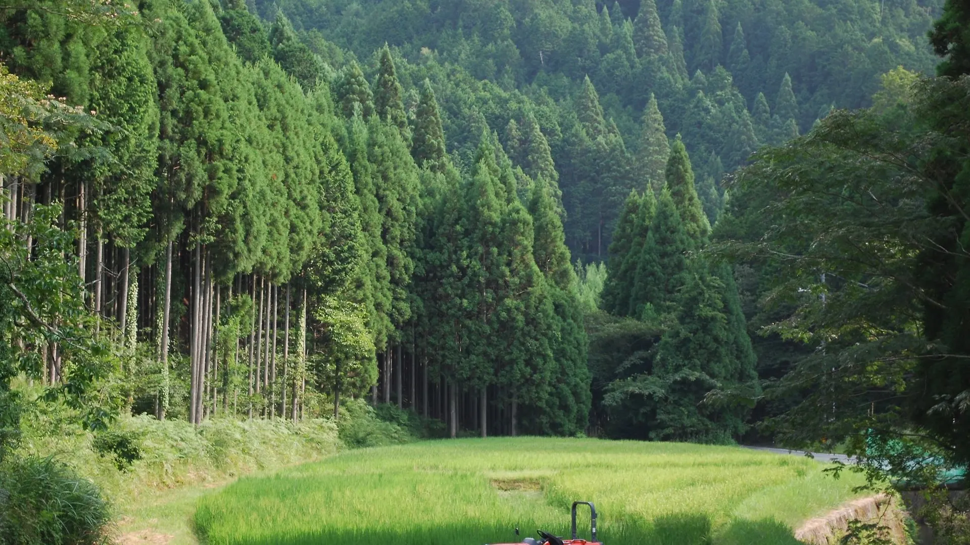 Goemon Kyoto Japan Villa 0*,